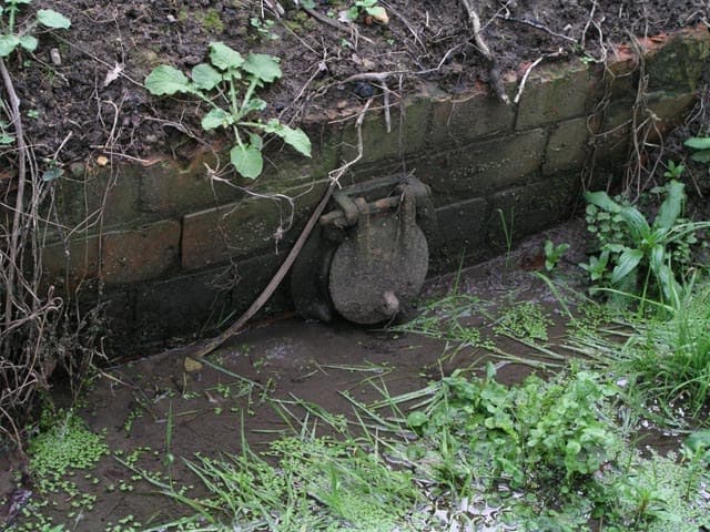 The Backwater Valve