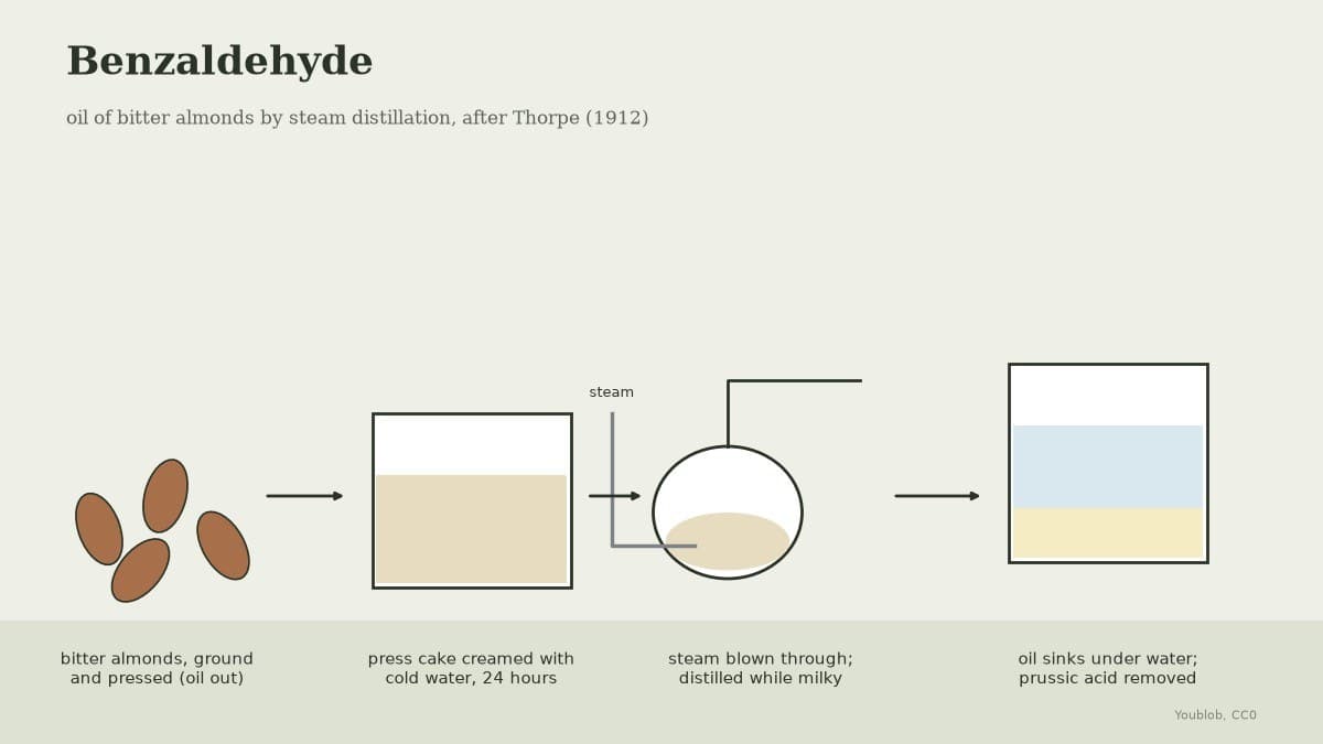 Benzaldehyde: Oil of Bitter Almonds by Steam Distillation