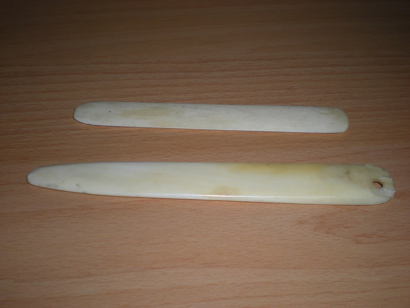 Bone Folder Cut from a Leg Bone