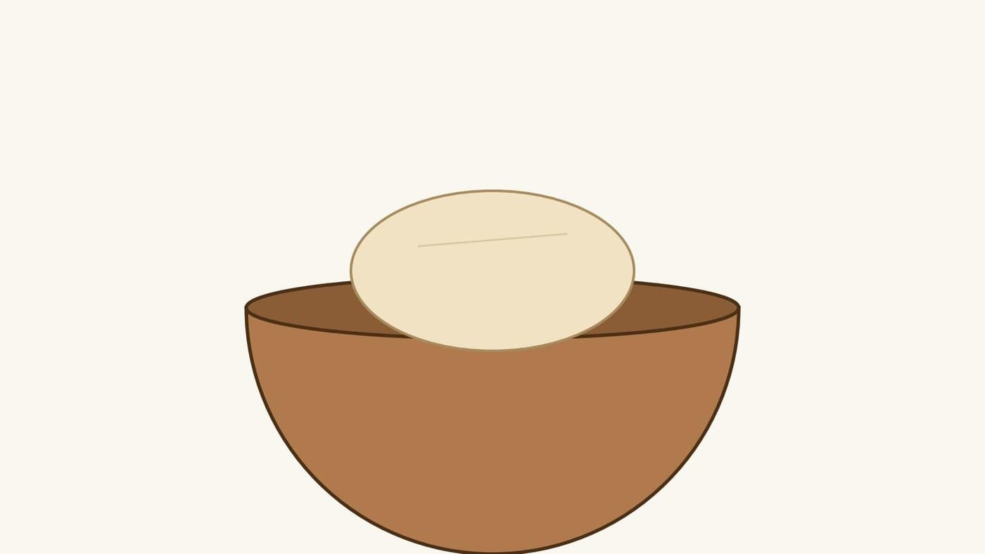 Bread Dough: Flour, Water, Salt and Starter Kneaded Smooth