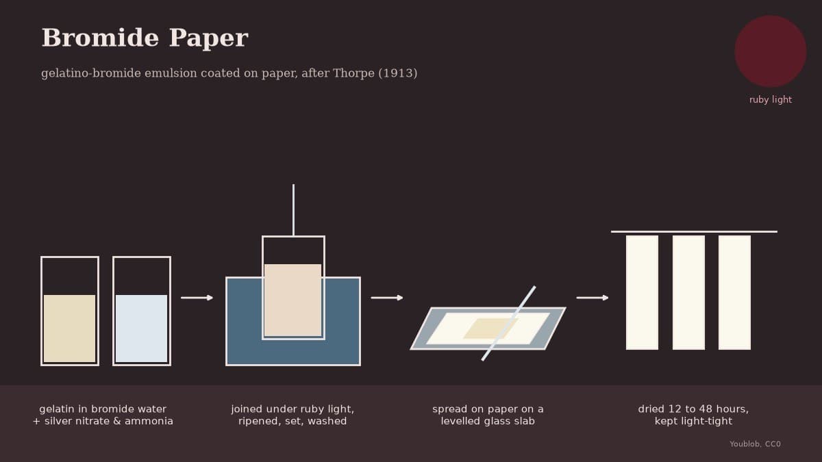 Bromide Paper: Gelatino-Bromide Emulsion Coated on Paper