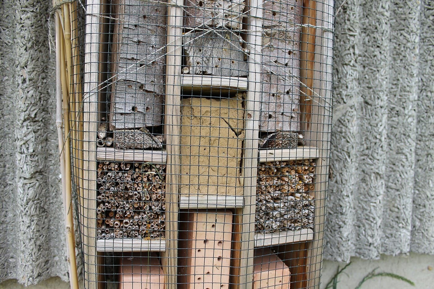 Bug Hotel