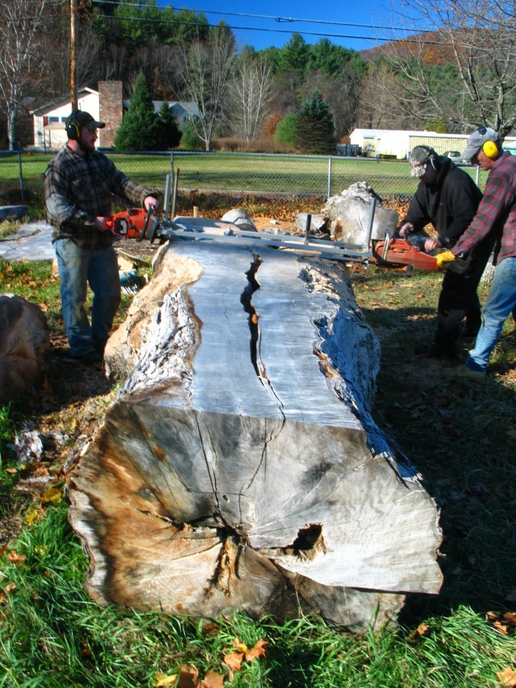 Pine Boards with a Chainsaw Mill