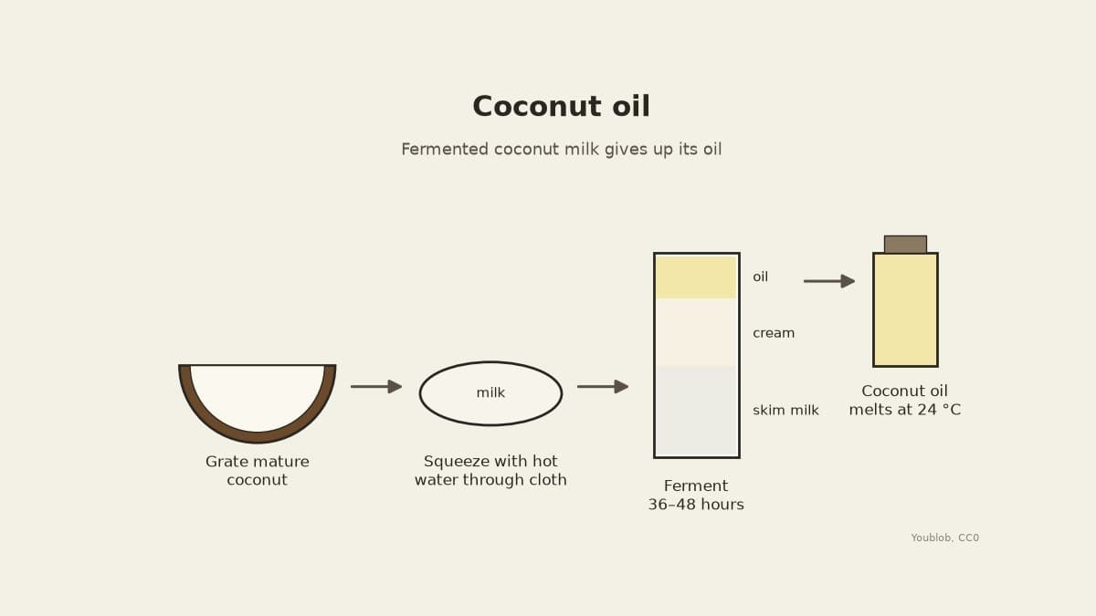 Coconut Oil from Fermented Coconut Milk