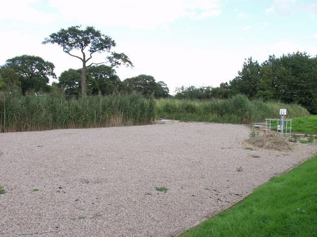 The Constructed Wetland