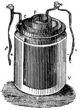 Daniell Cell