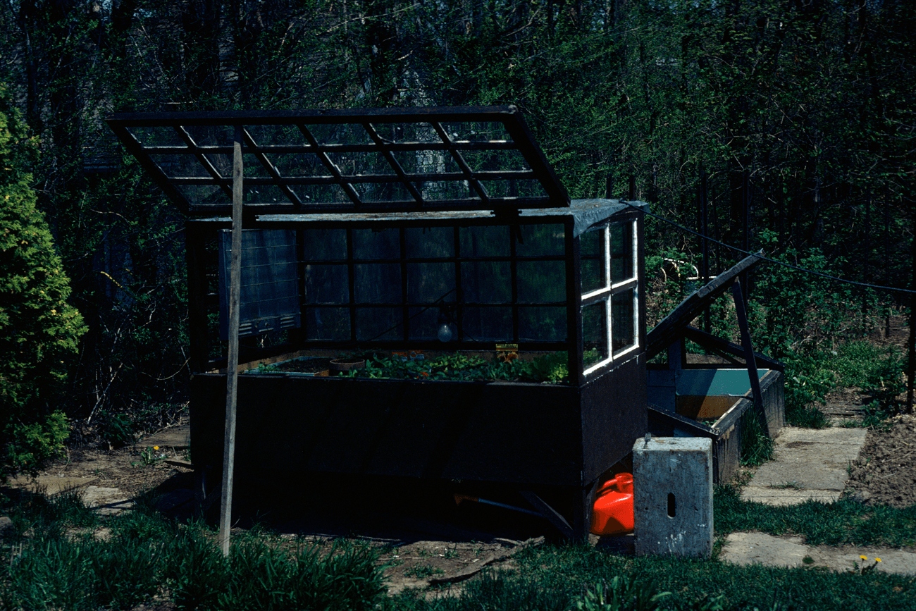 Hardening Off and Transplanting — Moving Seedlings Outdoors Safely