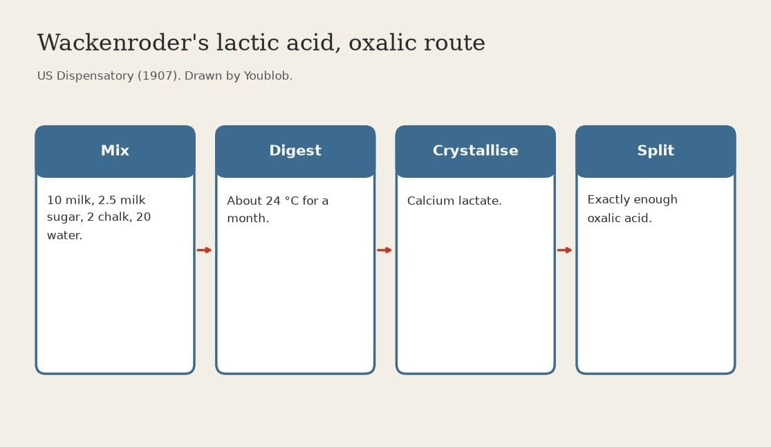 Lactic Acid: Wackenroder's Calcium Lactate Split with Oxalic Acid (US Dispensatory 1907)