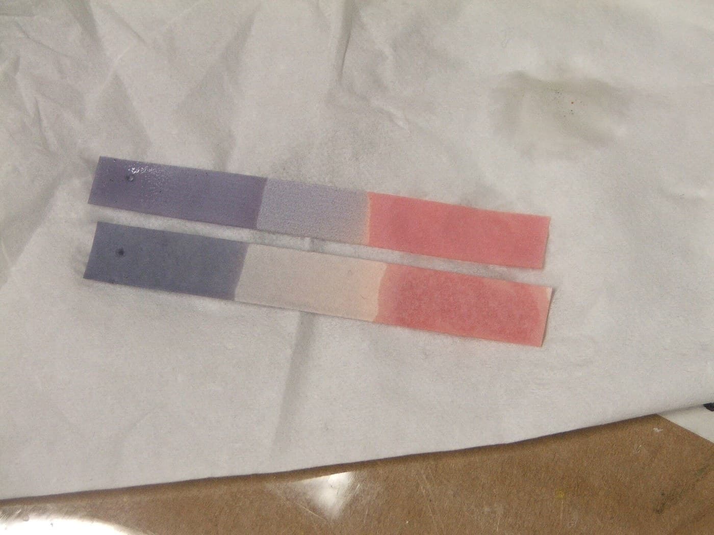 Litmus Paper from Dye Lichen