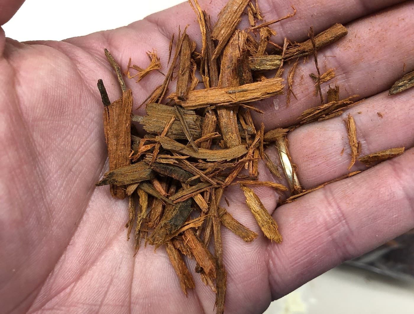 Logwood Chips: Campeachy Heartwood Chipped for the Dyer