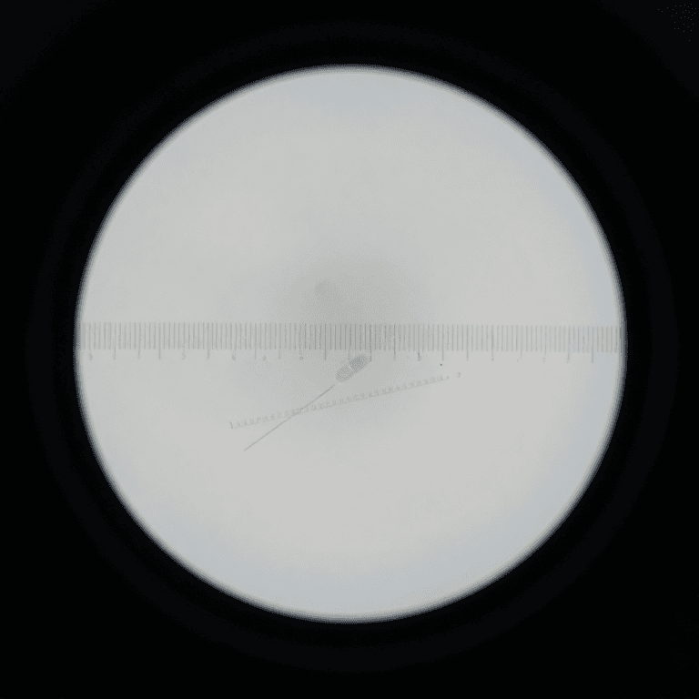 Micrometry: Measuring with a Microscope
