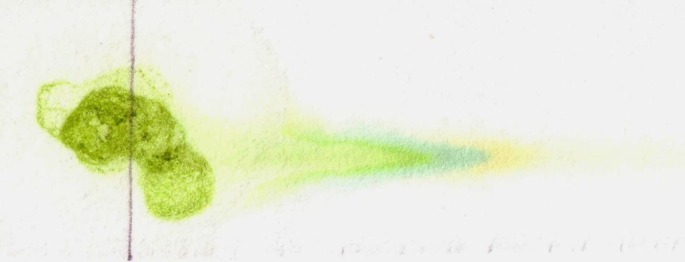 Paper Chromatography