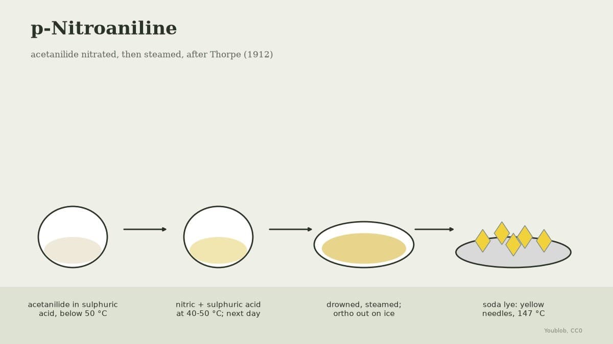 p-Nitroaniline: Acetanilide Nitrated, then Steamed
