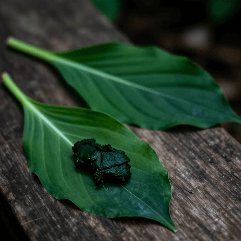 Plantain Leaf Poultice — The Universal Wound Herb Found on Every Continent
