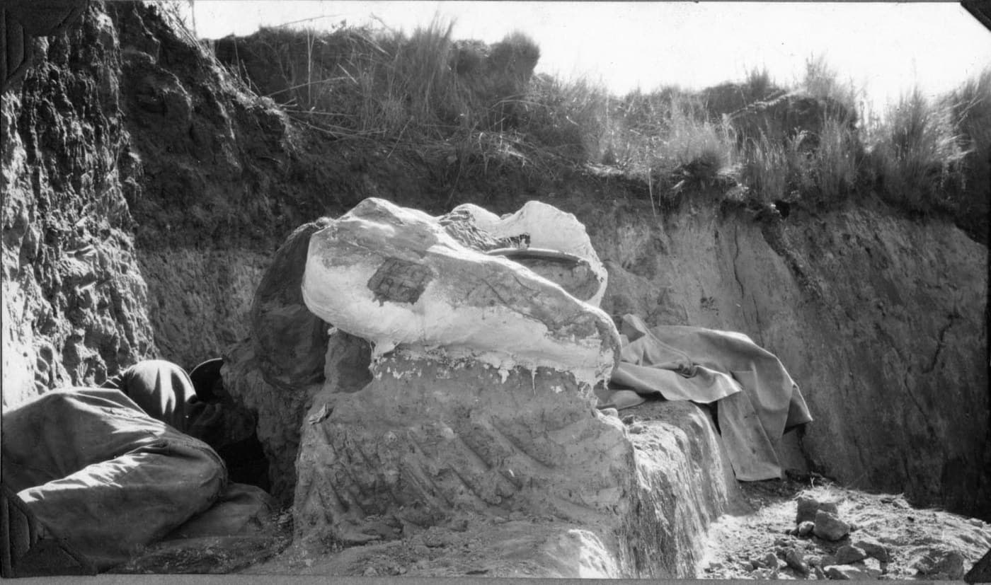 Plaster Field Jacket