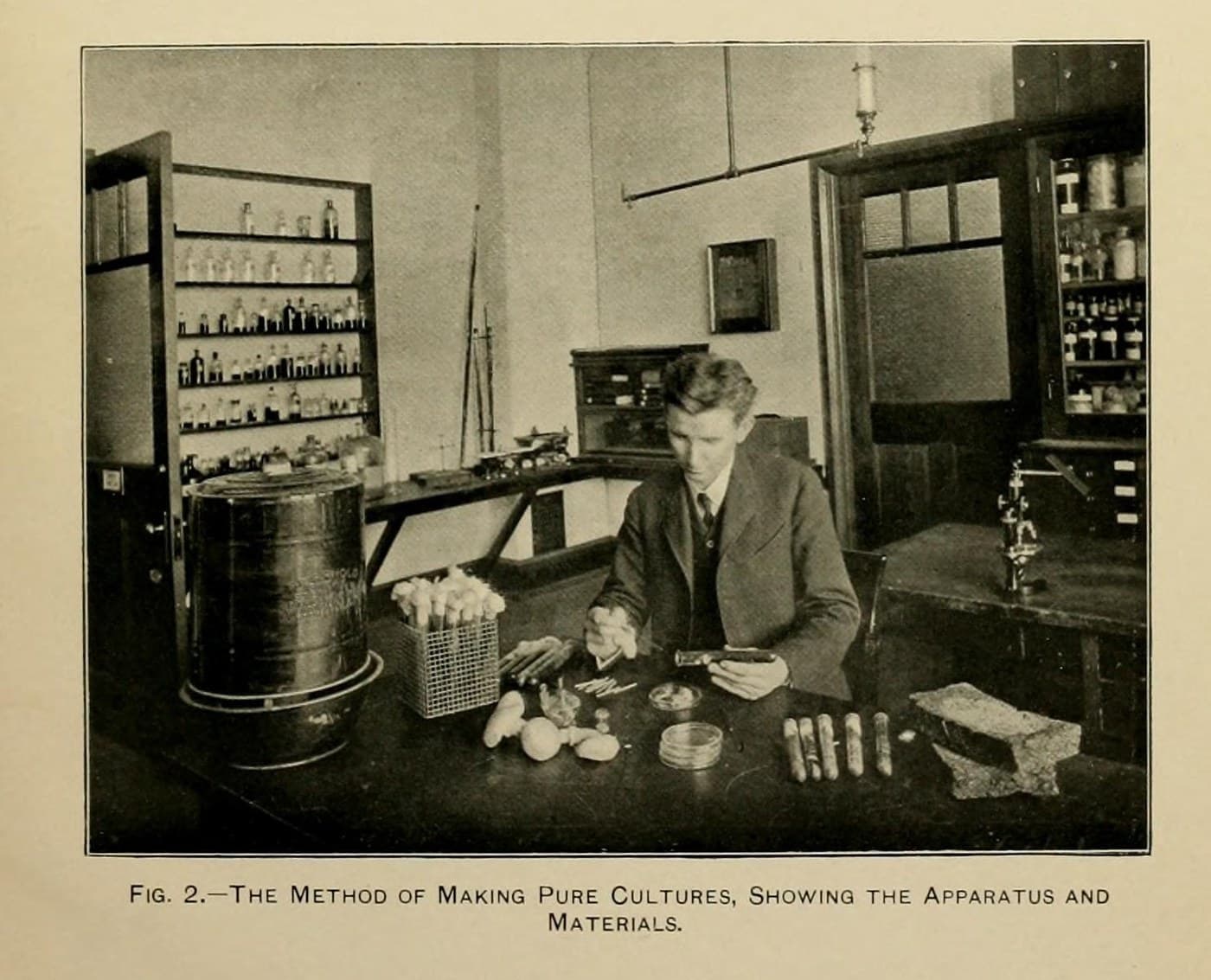 Pure Mushroom Culture: A Bit of Tissue in a Sterile Tube, Duggar 1905