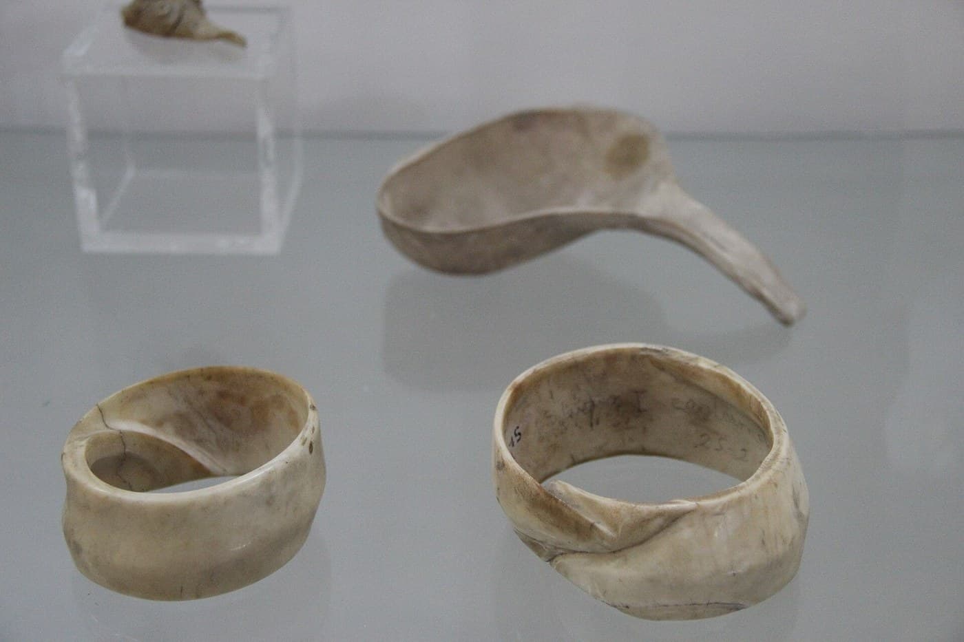 Shell Bangle