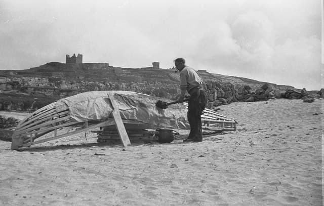 Tarpaulin: Canvas Strips Sewn Together and Tarred