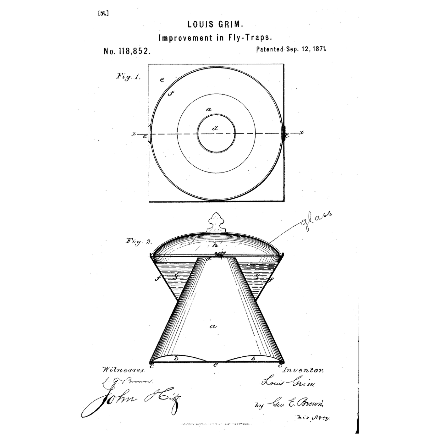 The Cone Fly Trap: Up to the Light, Down Into the Water
