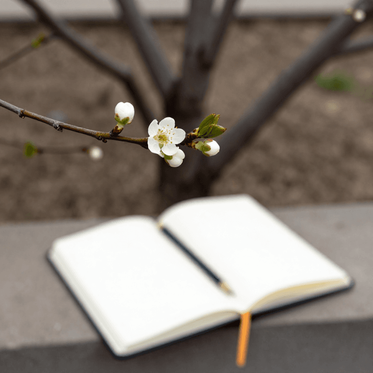 The Phenology Record: Writing Down When Things Happen