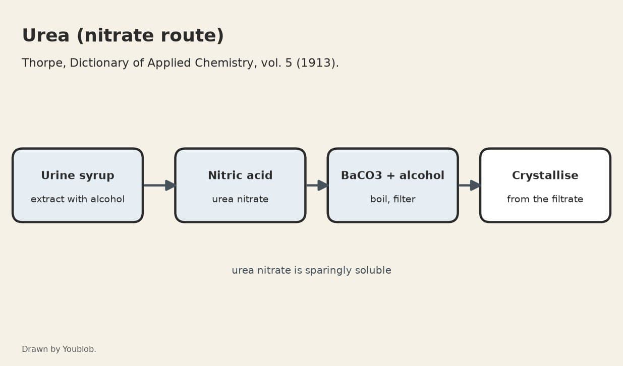 Urea: Extracted from Urine with Alcohol, Precipitated as the Nitrate, Freed with Barium Carbonate