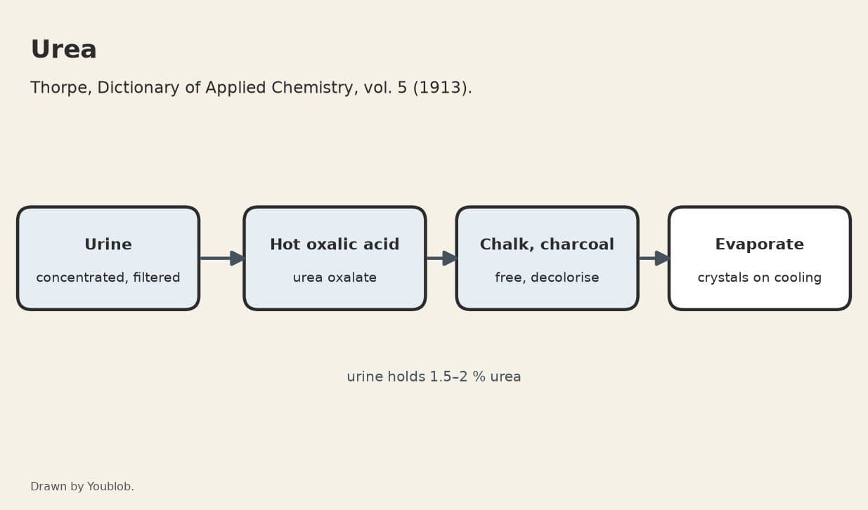 Urea: Separated from Urine as the Oxalate, Freed with Chalk and Crystallised