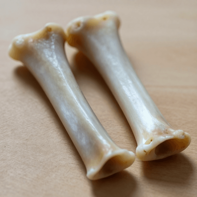 Making Bone Clappers — Rhythm Bones You Clack