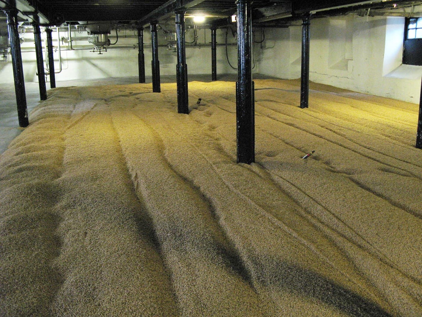 Pale Barley Malt: Steeped, Floored and Kiln-Dried, Ure 1839