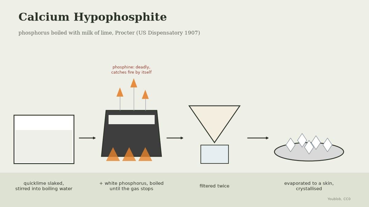Calcium Hypophosphite: Phosphorus Boiled with Milk of Lime, Procter