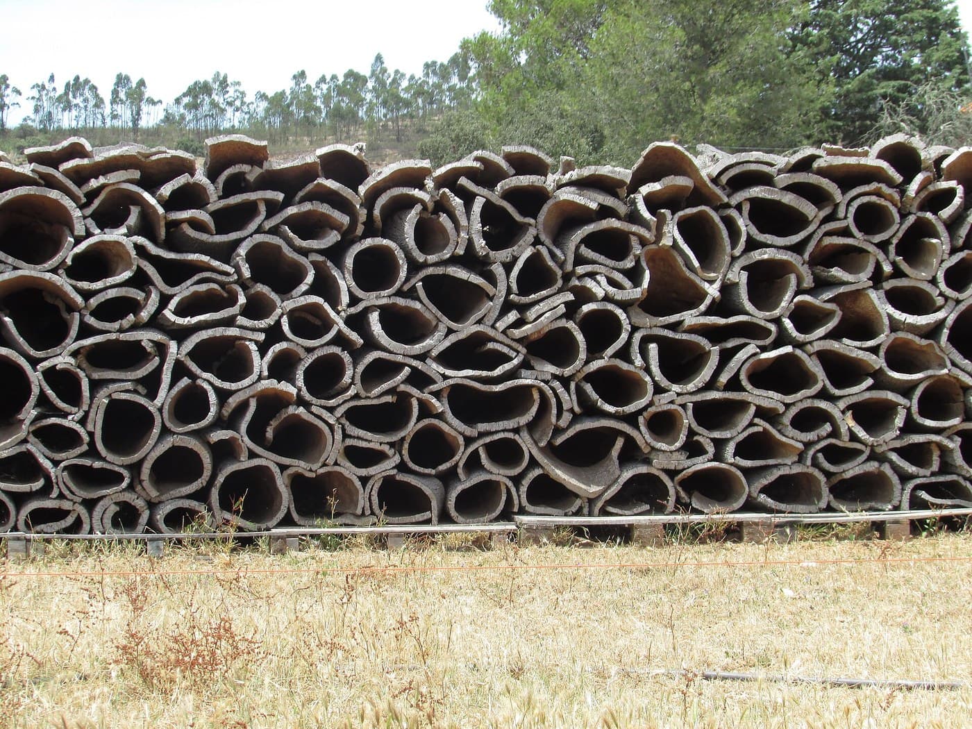 Cork and Sawdust Insulation