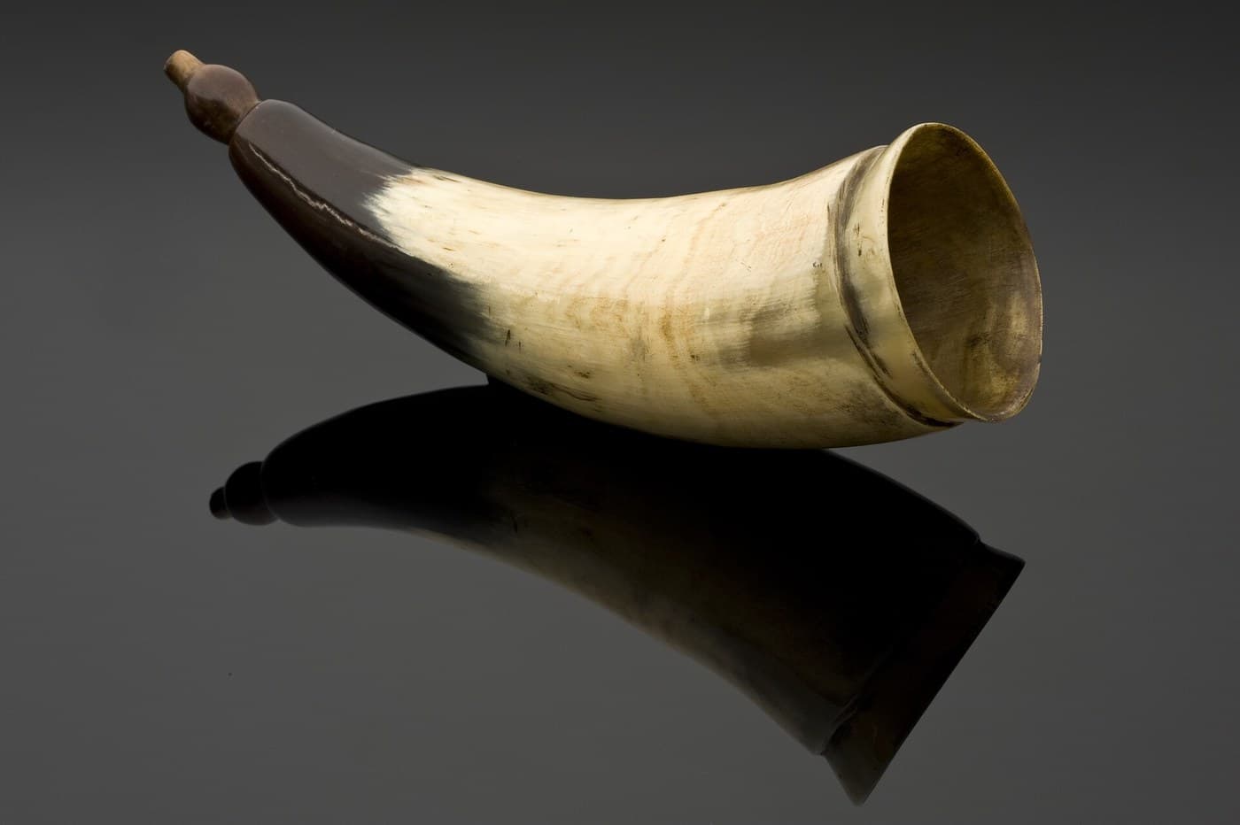 The Ear Trumpet