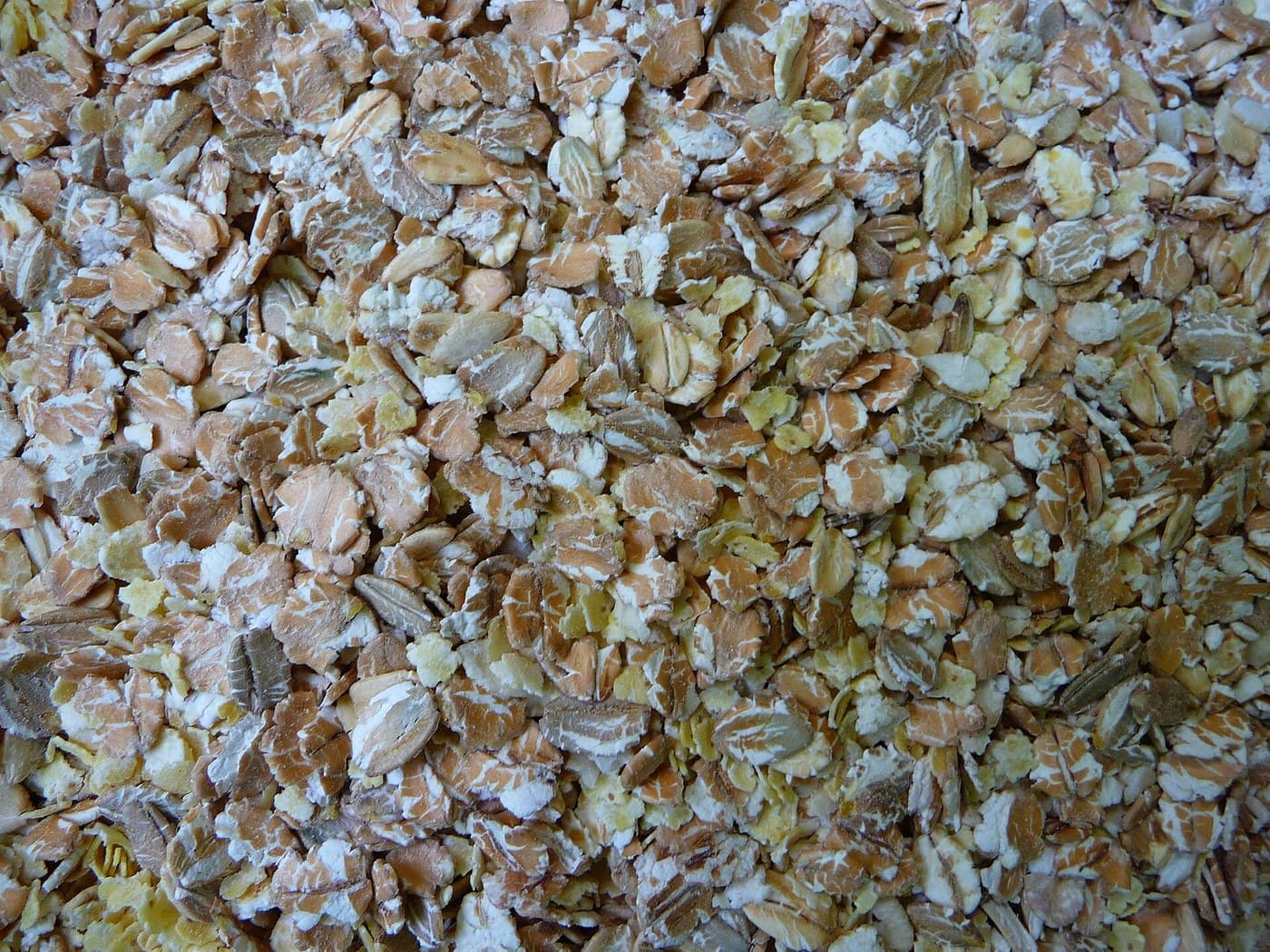 Flaked Cereal