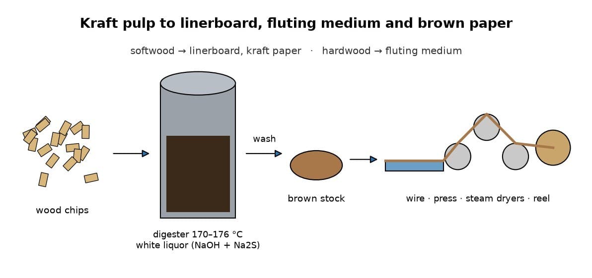 Kraft Pulp, Linerboard and Fluting Medium