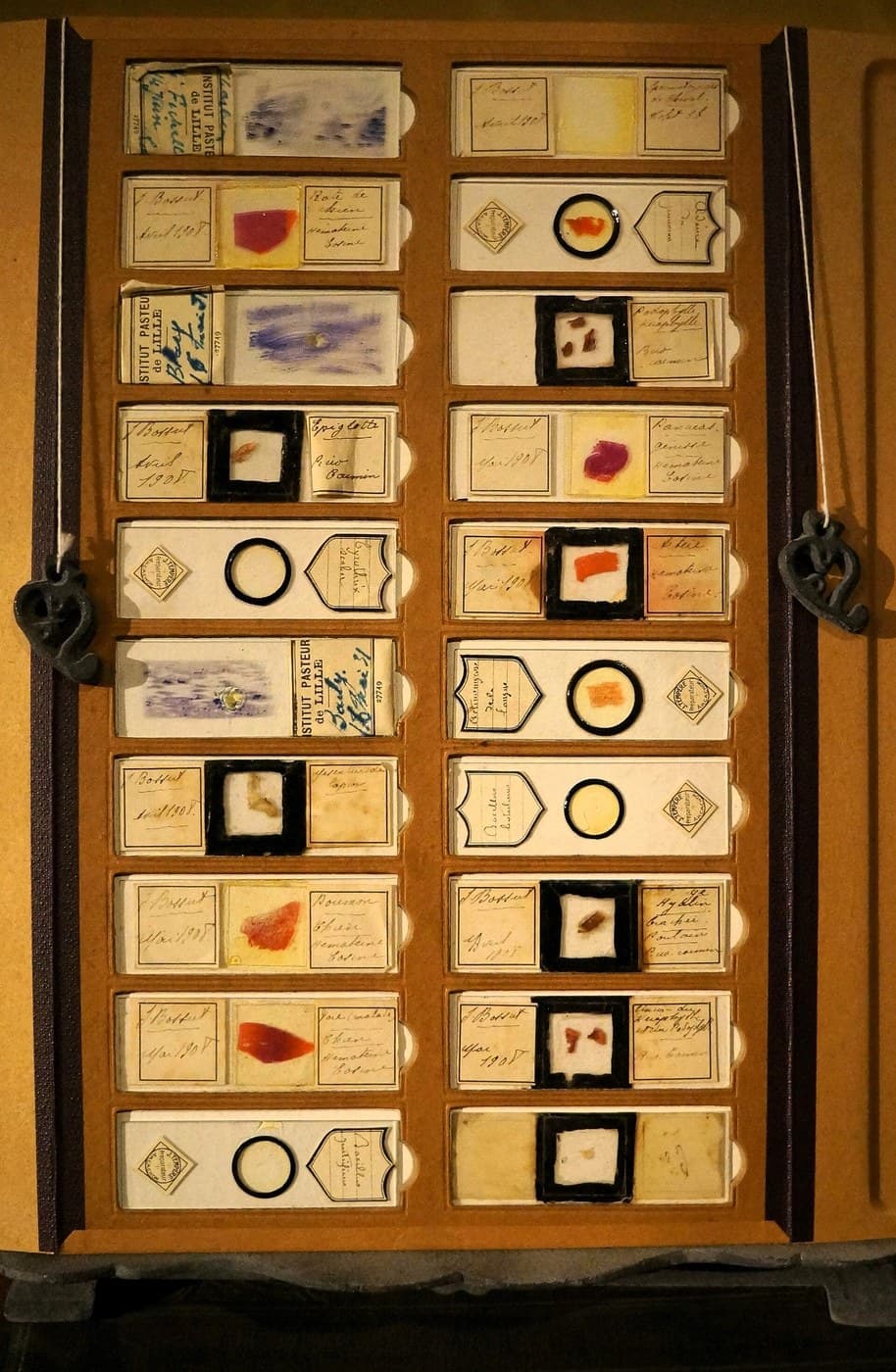 Microscope Slides Cut from Sheet, Coverslips from a Blown Bubble