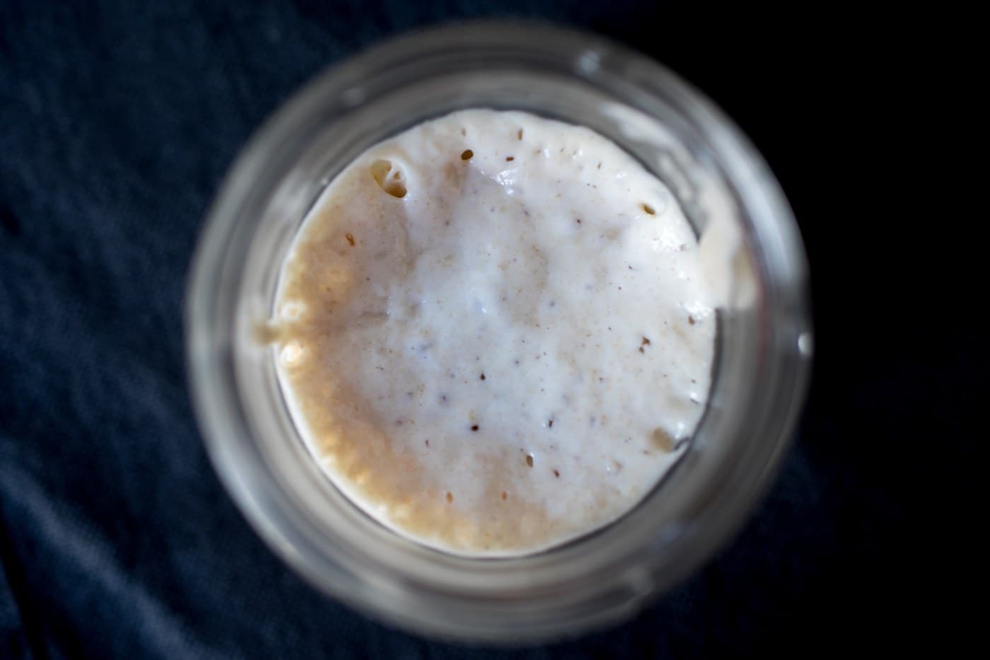 Sourdough Starter Begun from Flour and Water, and Dried for Keeping