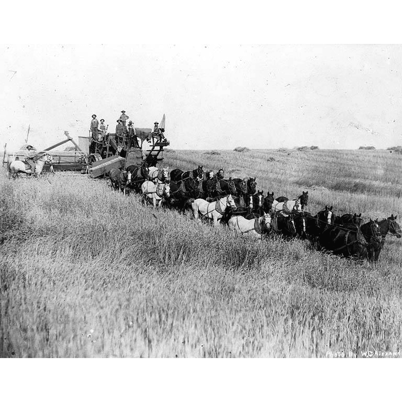 The Combine Harvester: Cut, Thresh, Separate and Clean in One Pass