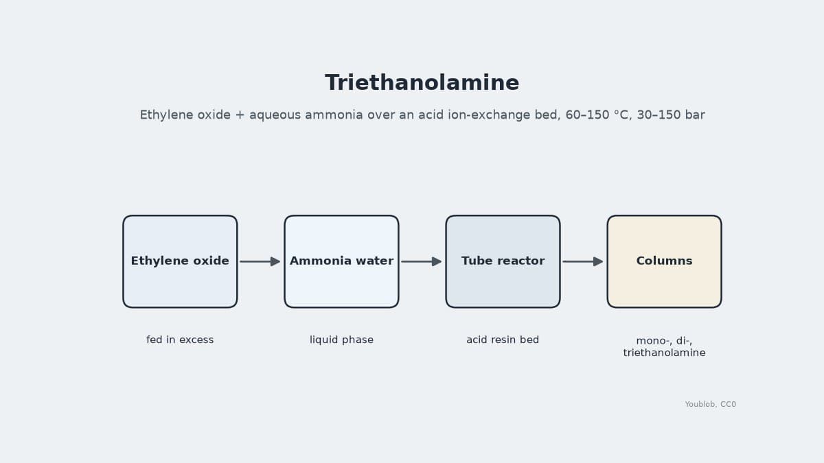 Triethanolamine from Ethylene Oxide and Aqueous Ammonia