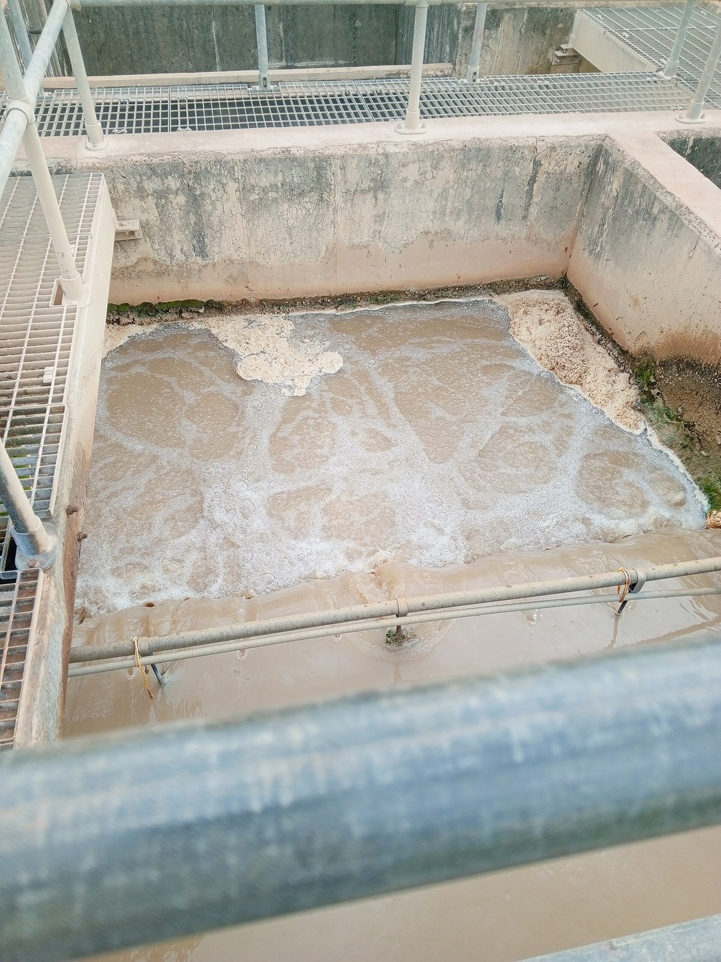 Activated Sludge