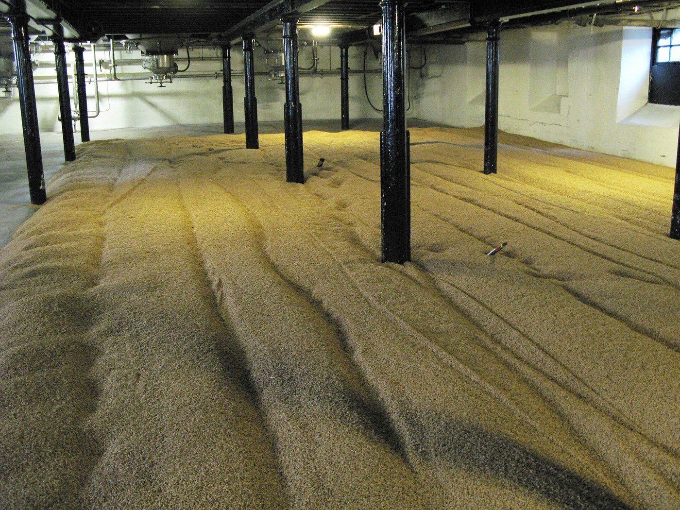 Pale Barley Malt: Steeped, Floored and Kiln-Dried, Ure 1839