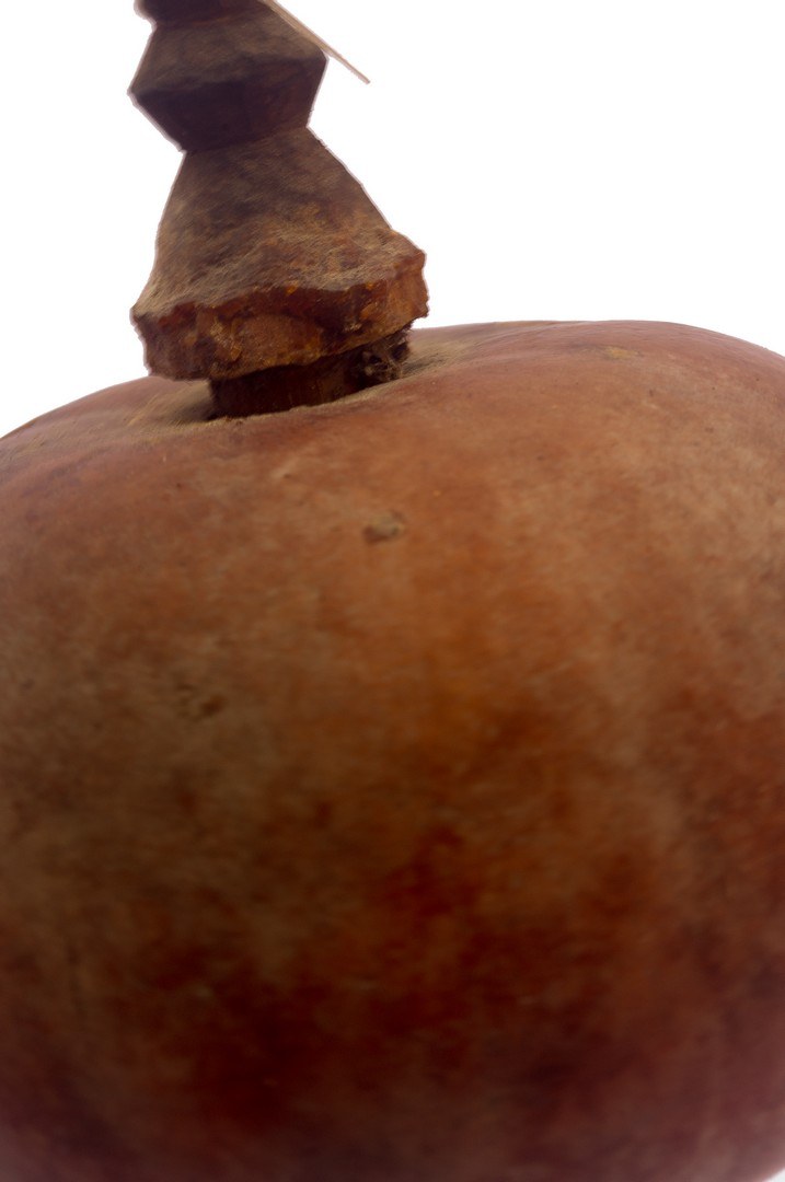 Passo 7 - Image 3