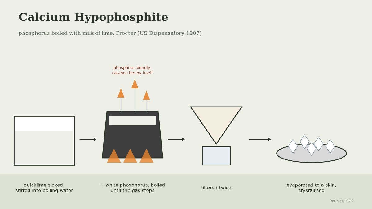 Calcium Hypophosphite: Phosphorus Boiled with Milk of Lime, Procter