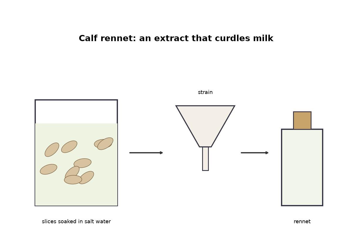 Calf Rennet Steeped from Dried Stomach