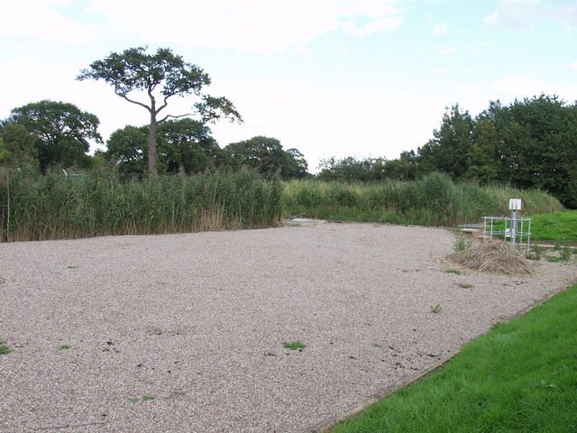 The Constructed Wetland