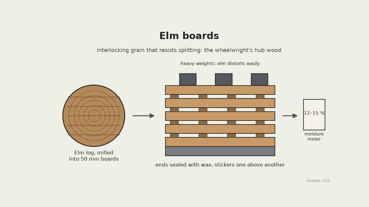 Elm Boards, Milled and Air-Dried