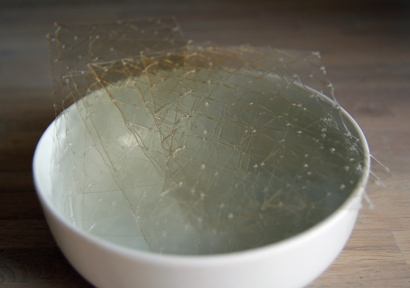 Gelatin from Bones and Skins