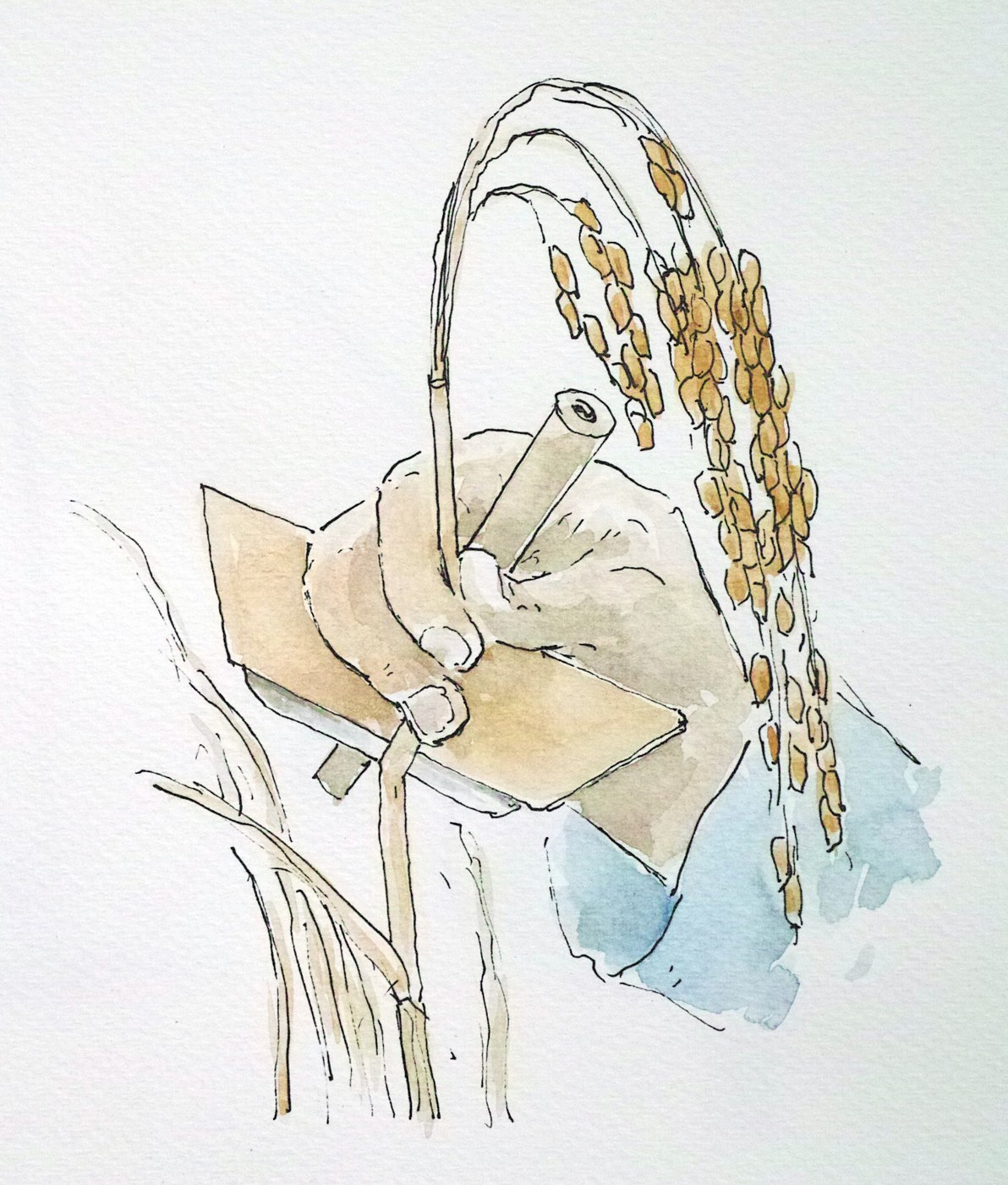 Passo 7 - Image 2