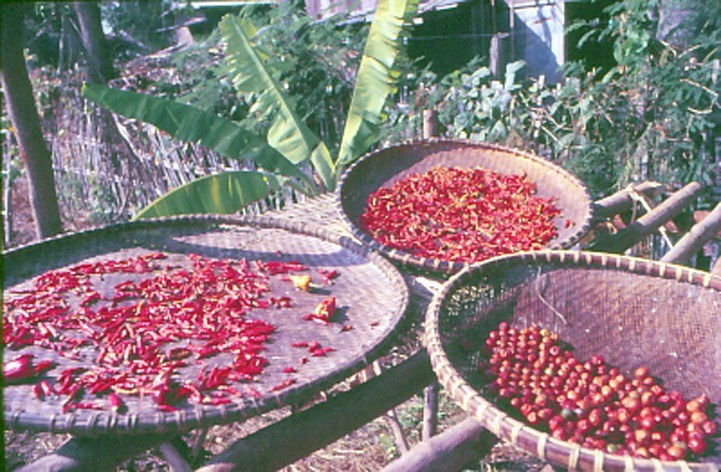 Step 8 - Image 1