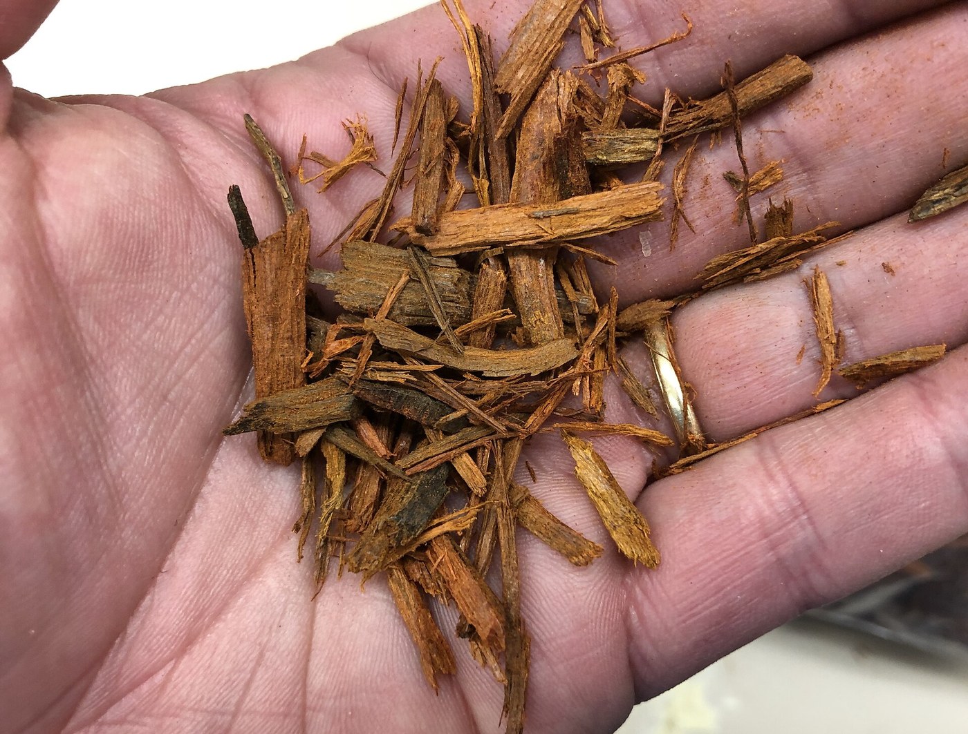 Logwood Chips: Campeachy Heartwood Chipped for the Dyer