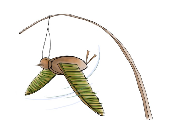 Step 5 - Image 1