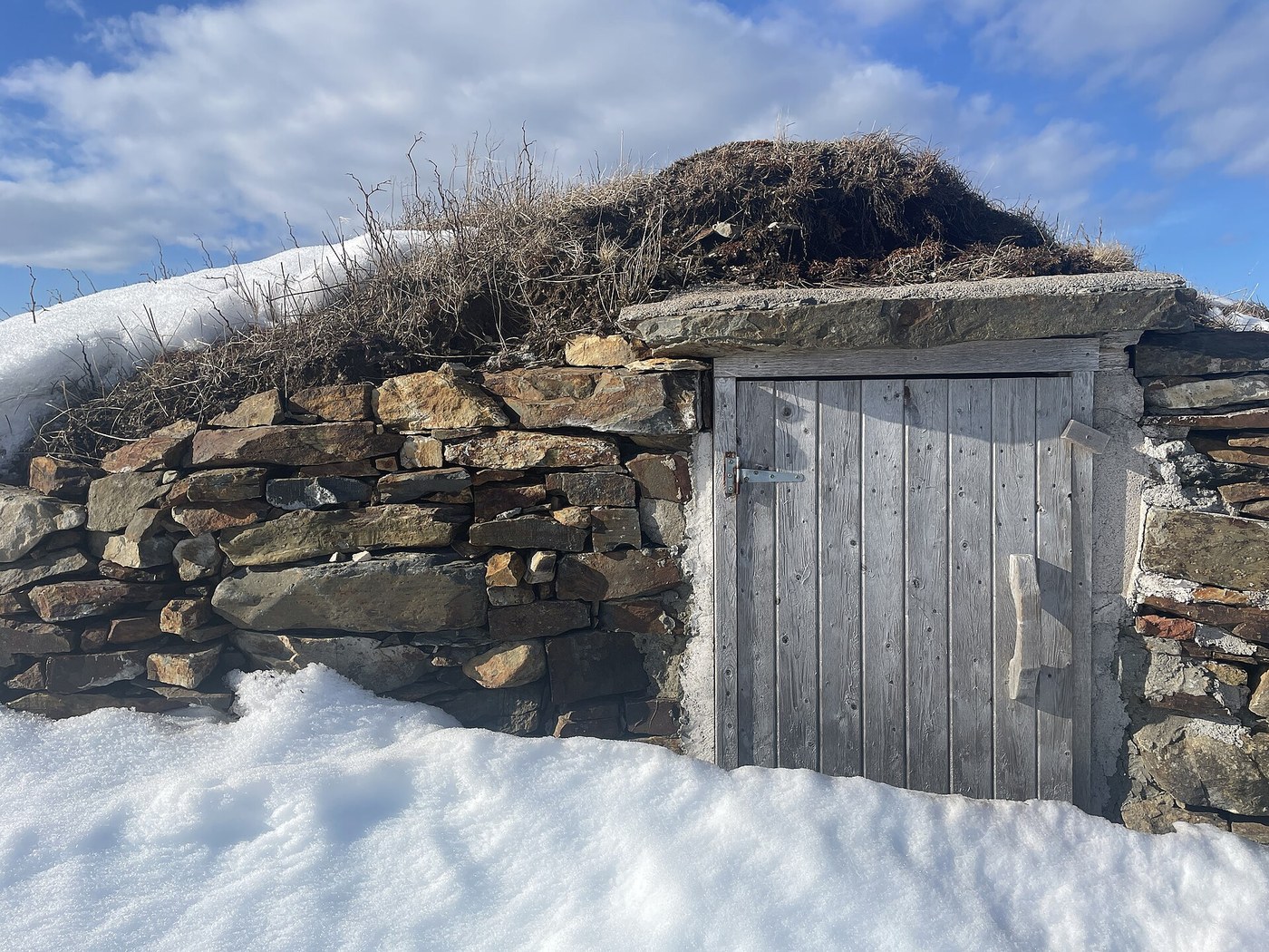 The Root Cellar